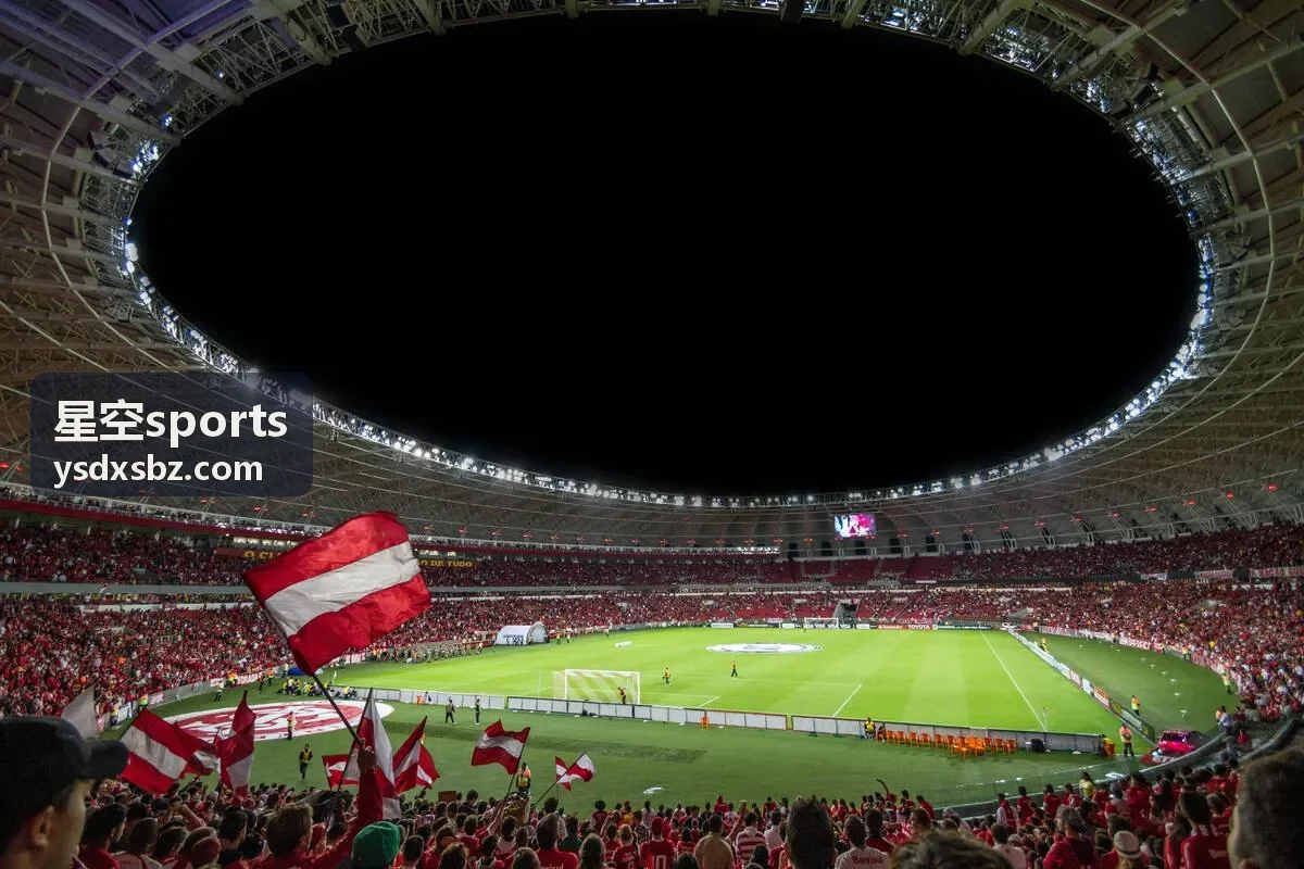 星空sports 一线队阵容名单资料页